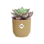 vibes fold rund mini 11cm buttergelb